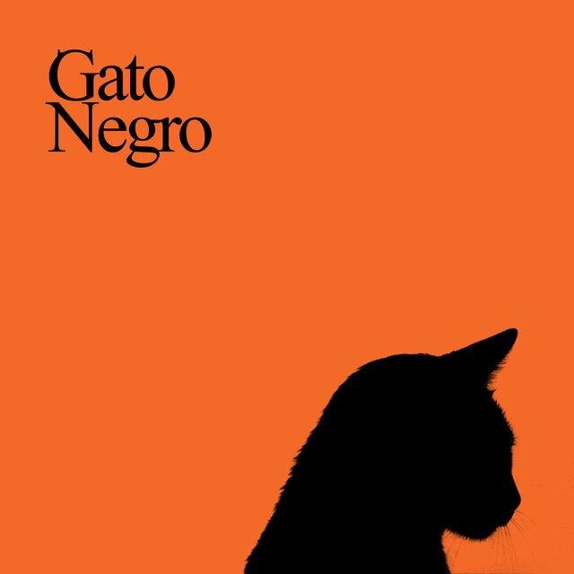 Gato Negro