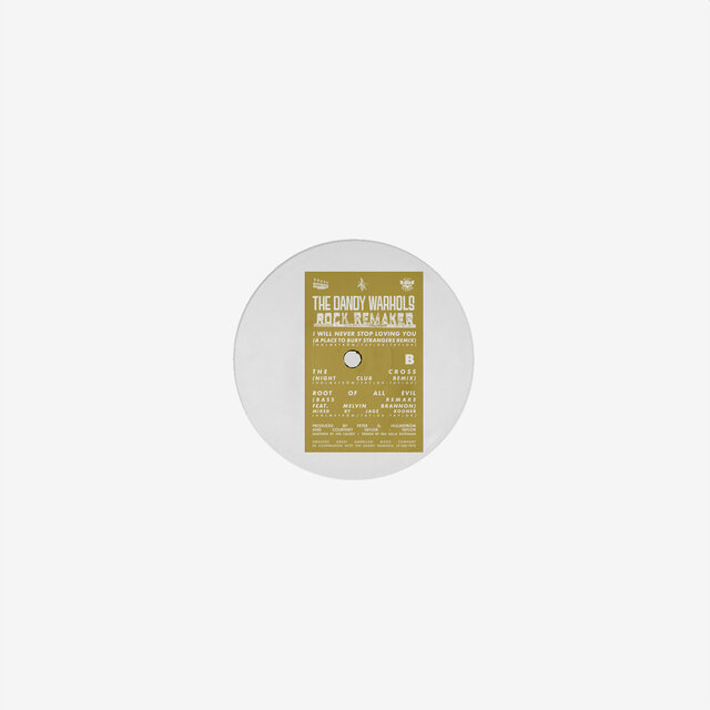 I Will Never Stop Loving You (A Place To Bury Strangers Remix)