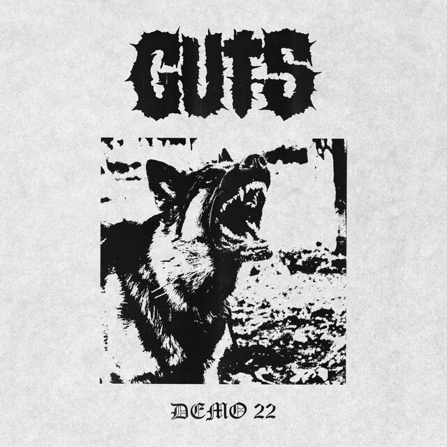DEMO 22