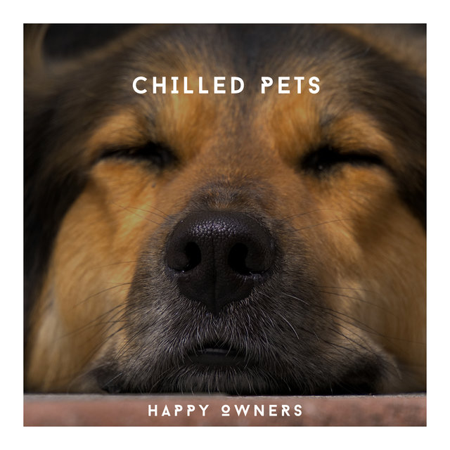 Chilled Pets, Happy Owners