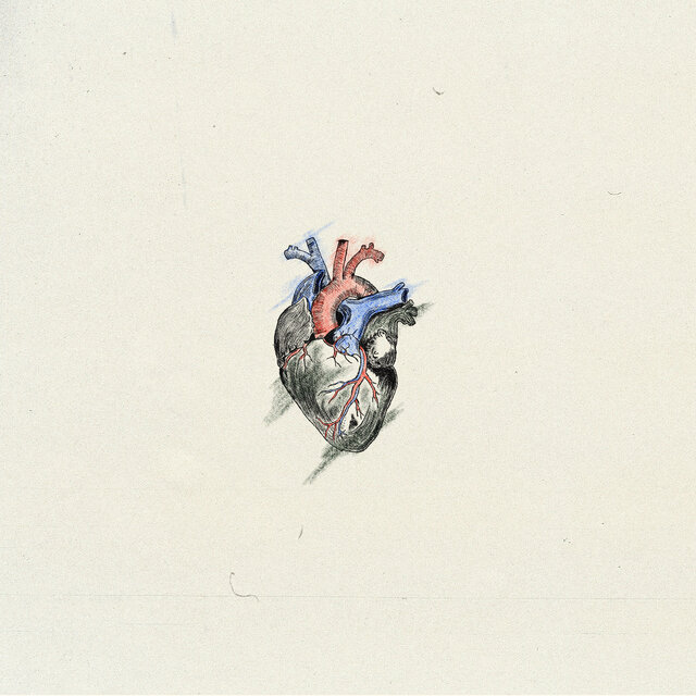 Heartbeat