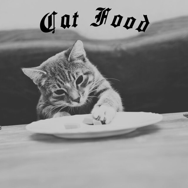 Cat Food