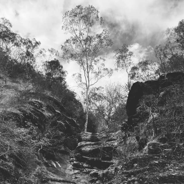 Picturesque Ruins