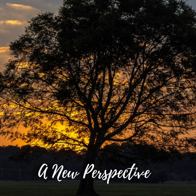 A New Perspective