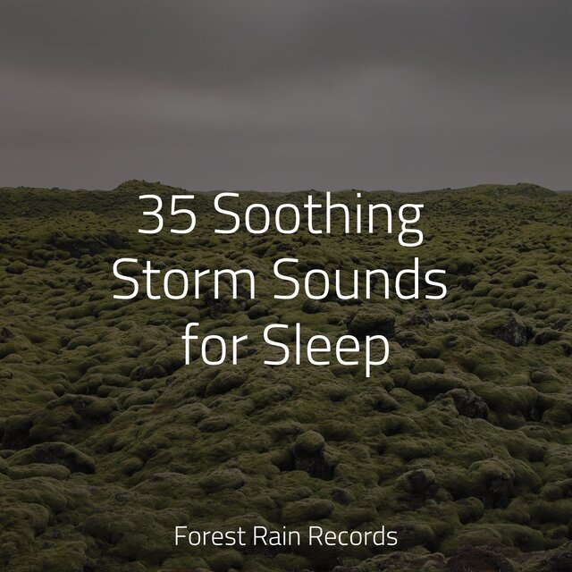 35 Soothing Storm Sounds for Sleep