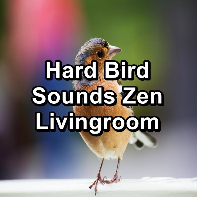 Hard Bird Sounds Zen Livingroom