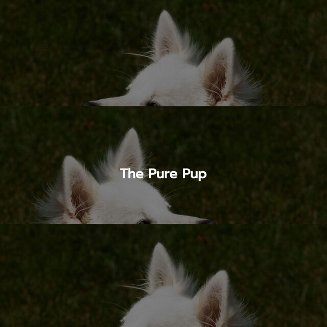 The Pure Pup
