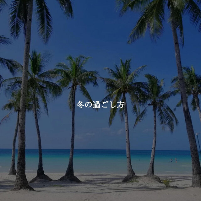 冬の過ごし方