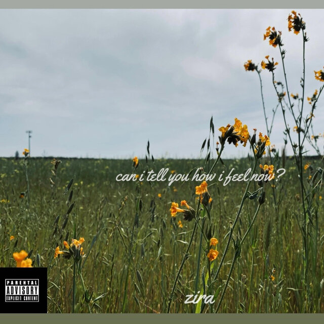 can i tell you how i feel now?