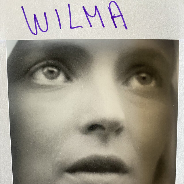 Cover art for album Wilma by Daniele Luppi