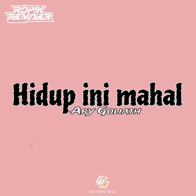Hidup Ini Mahal  (Remix )
