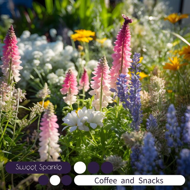 Coffee and Snacks