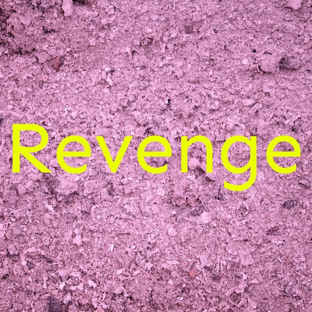 Revenge