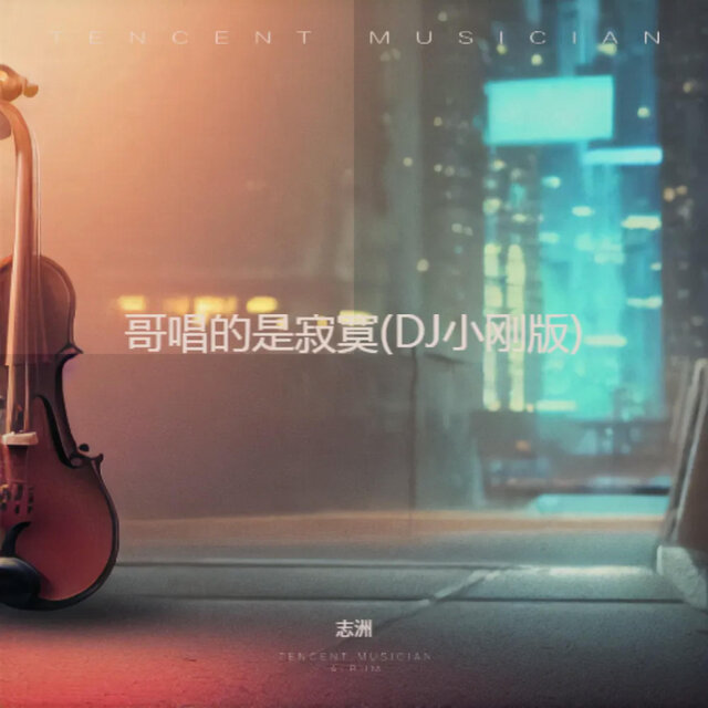 哥唱的是寂寞 (DJ小刚版)
