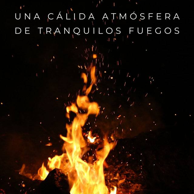 Una Cálida Atmósfera De Tranquilos Fuegos - 1 Hora