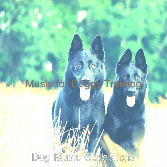 Music for Doggy Training