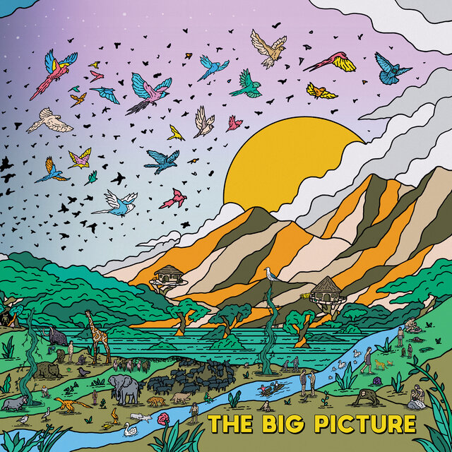 The Big Picture