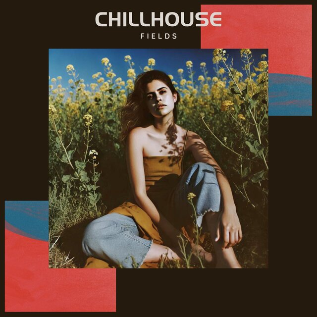 Chillhouse Fields (Echoes in the Sunlight)