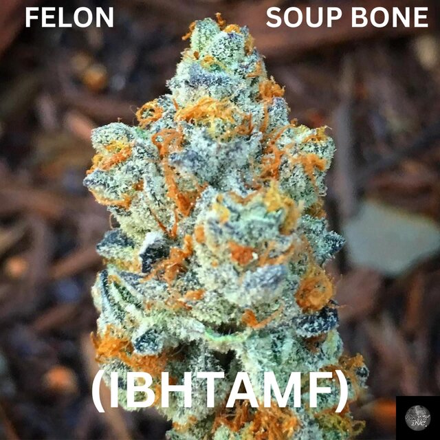 IBHTAMF (feat. SOUP BONE)