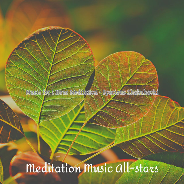Music for 1 Hour Meditation - Spacious Shakuhachi