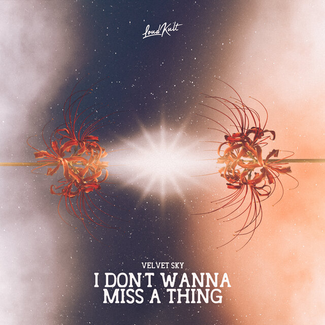I Don't Wanna Miss A Thing