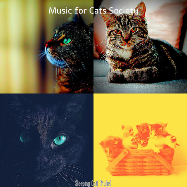 Sleeping Cats (Music)