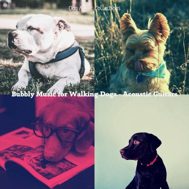 Bubbly Music for Walking Dogs - Acoustic Guitars