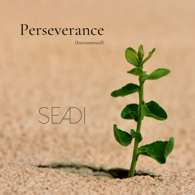 Perseverance