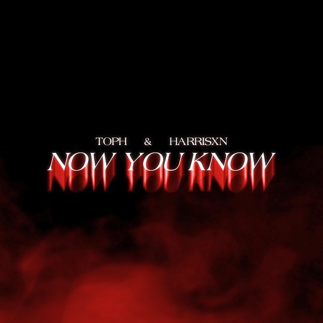 Now You Know (feat. Harrisxn)