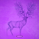 Hypnotic Rendering