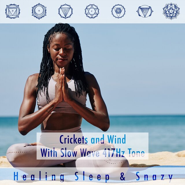 Crickets and Wind with Slow Wave 417hz Tone