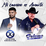 Mi Camino Es Amarte