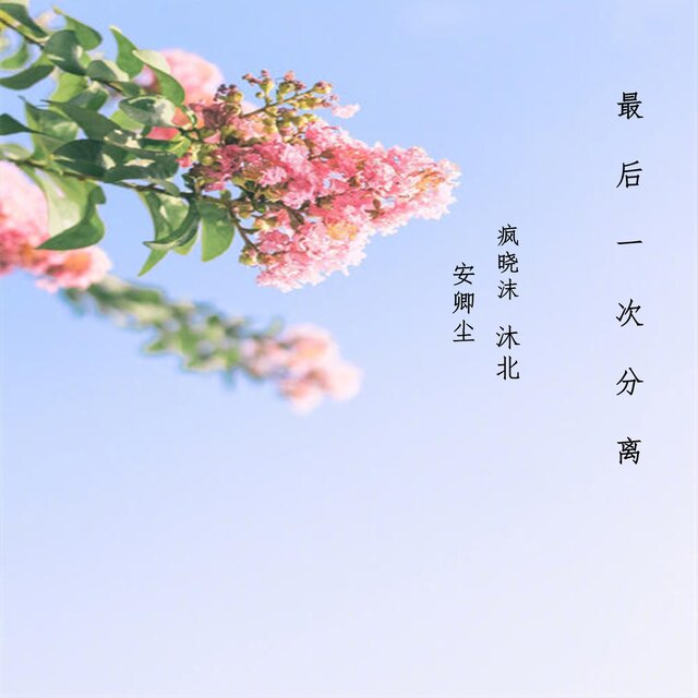 最后一次分离
