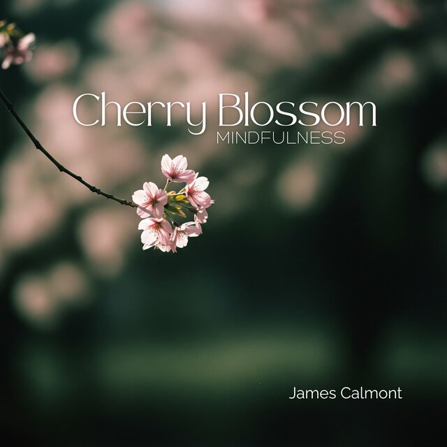 Cherry Blossom Mindfulness