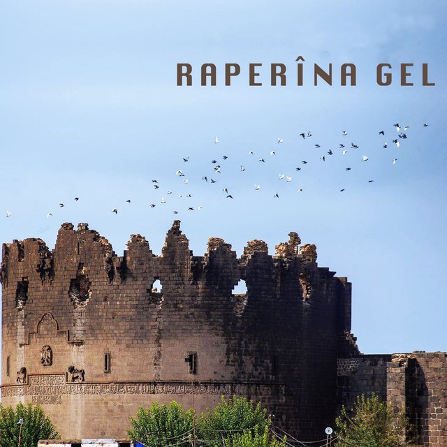 Raperîna Gel