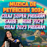 Muzica lautareasca de suflet 2024