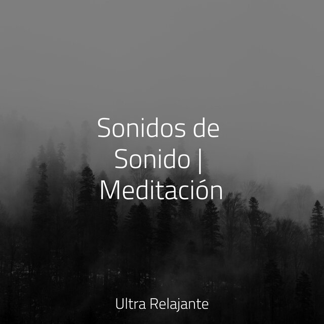 Sonidos de Sonido | Meditación