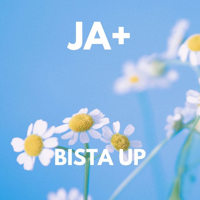 BISTA UP