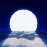 Experience You