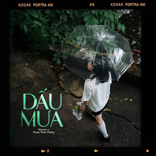 Dấu Mưa