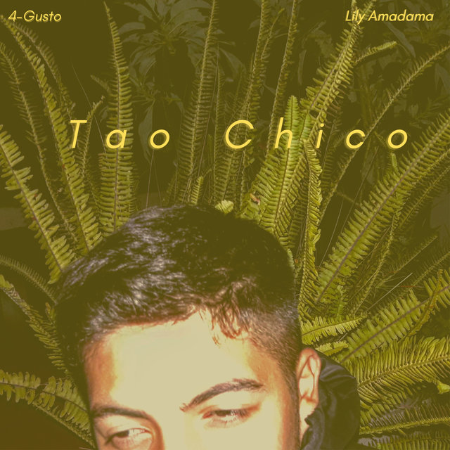 Tao Chico