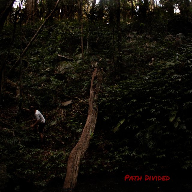 Path Divided