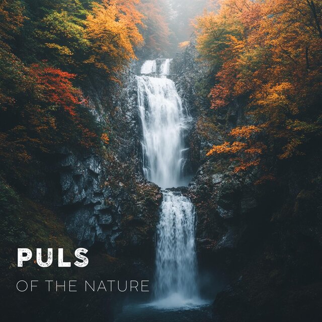 The Tranquil Pulse of Nature