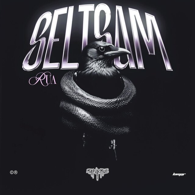 Seltsam