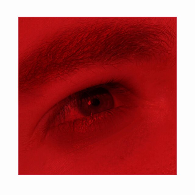 Loving You (Rough Demo)
