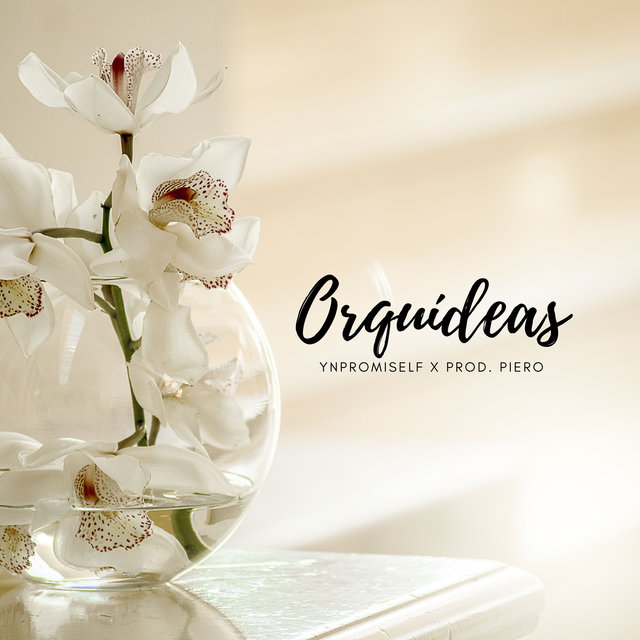 Orquídeas