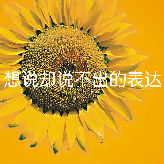 想说却说不出的表达