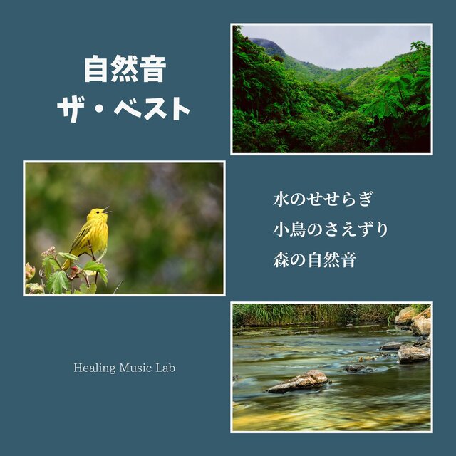 Nature Sounds: The Best Collection - Flowing Water, Chirping Birds, and Forest Ambience