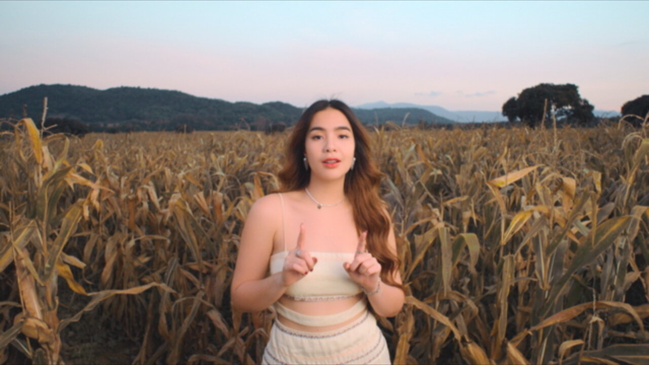 ว่าว