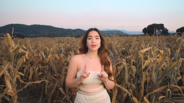 ว่าว